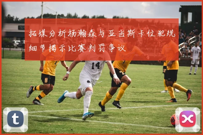 拓媒分析杨瀚森与亚当斯卡位犯规细节揭示比赛判罚争议