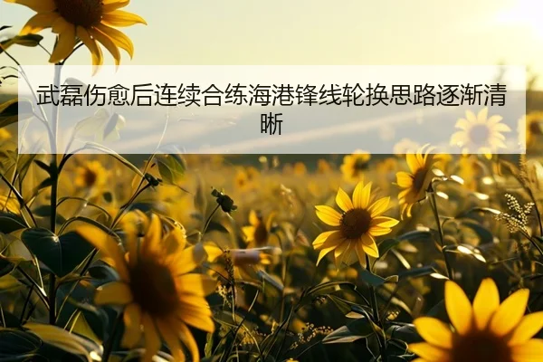 武磊伤愈后连续合练海港锋线轮换思路逐渐清晰 | kaiyun